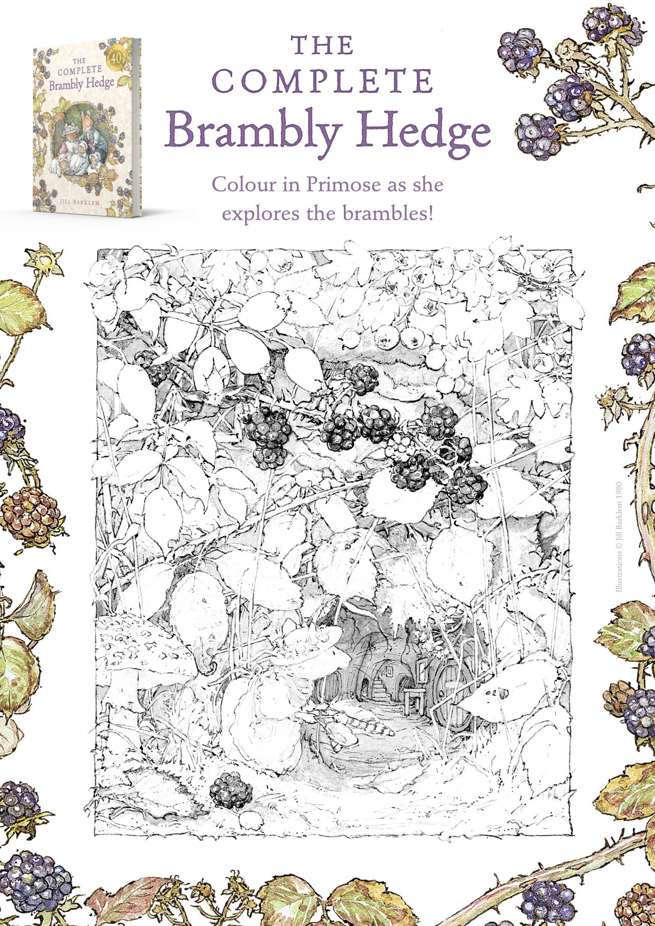 ACTIVITIES - Brambly Hedge - Children's books and gifts