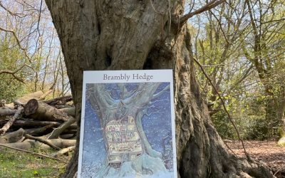 Brambly Hedge tree found in Epping Forest