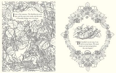 New Brambly Hedge Colouring Book