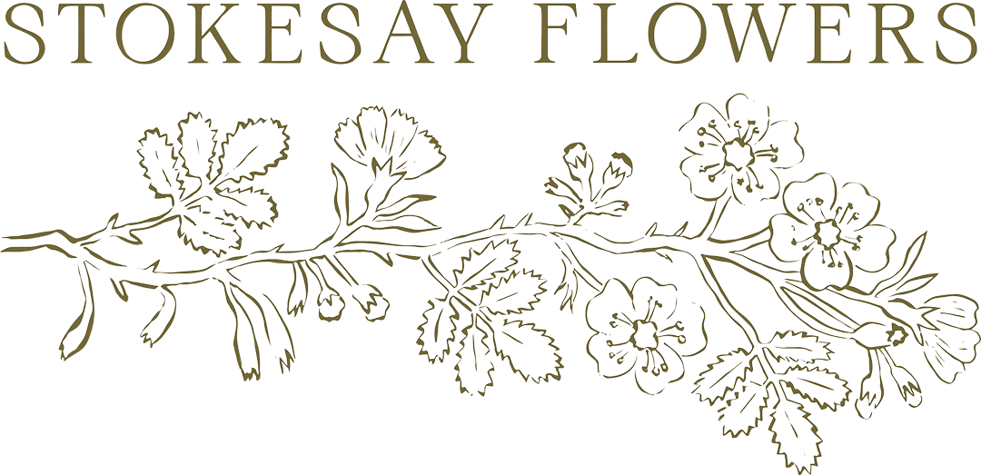 Stokesay Flowers