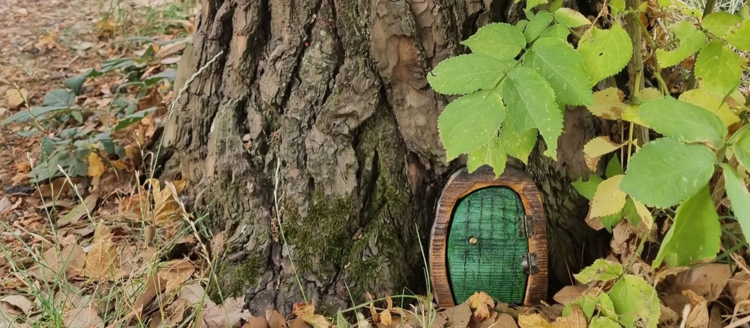 Miniature wooden mouse door at the base of a tree at Hidcote gardens